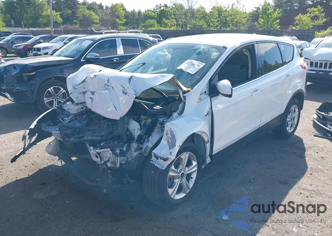 1FMCU9GX7FUB54274: 42364479