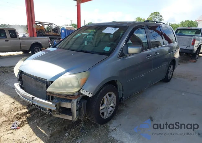 5FNRL38657B116038: 42365429