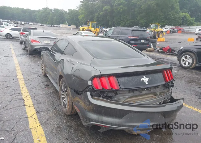 1FA6P8AM4G5337120: 42364772