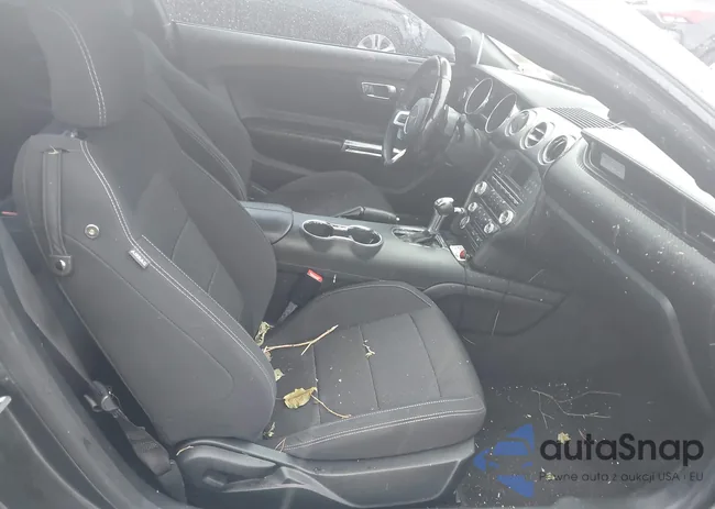 1FA6P8AM4G5337120: 42364772