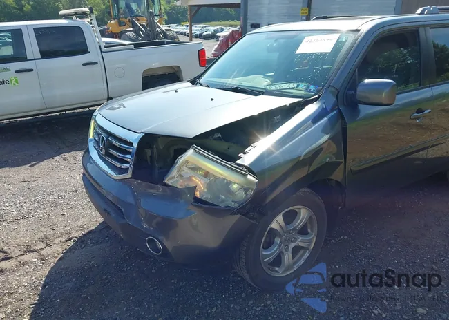 5FNYF4H59DB056695: 42364899