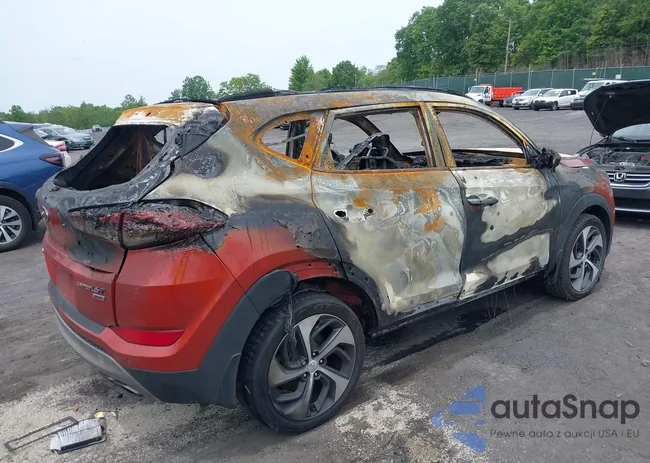 KM8J3CA2XHU306510: 42365054