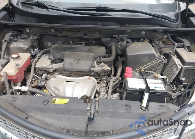 JTMBFREV4FD147875: 42366663