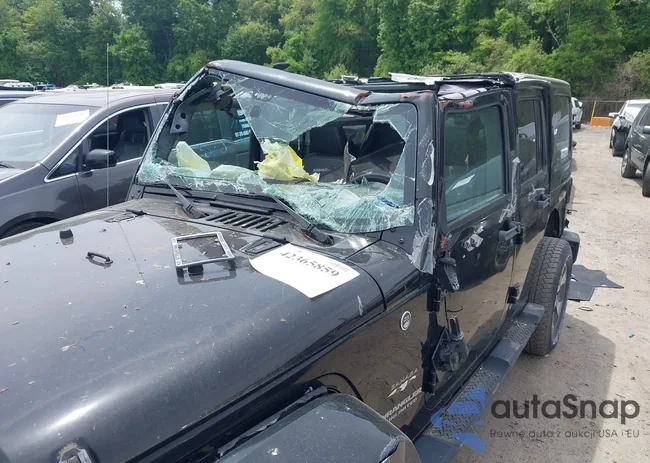 1C4BJWEG3HL719400: 42365859