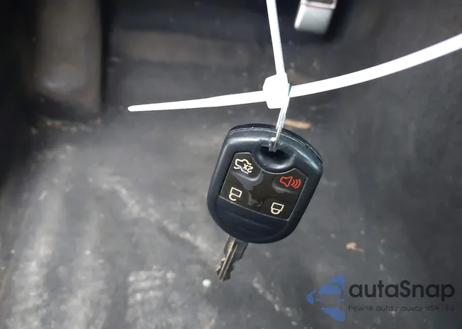 1ZVBP8AM4E5282543: 42367520