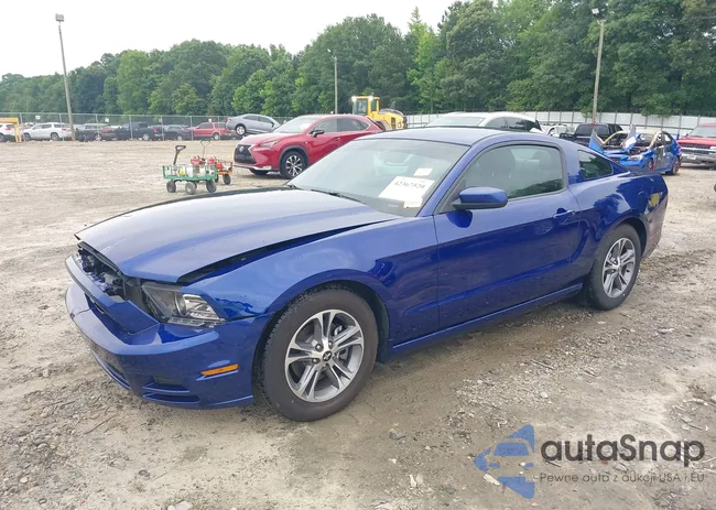 1ZVBP8AM4E5282543: 42367520