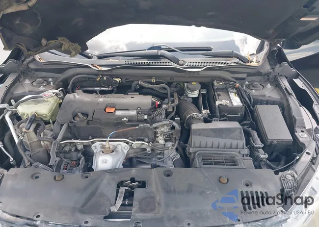 2HGFC2F53GH549442: 42368138