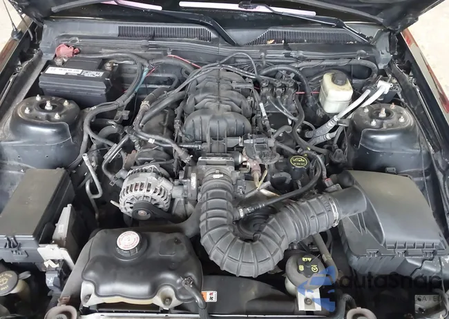 1ZVHT84N285117234: 42371134