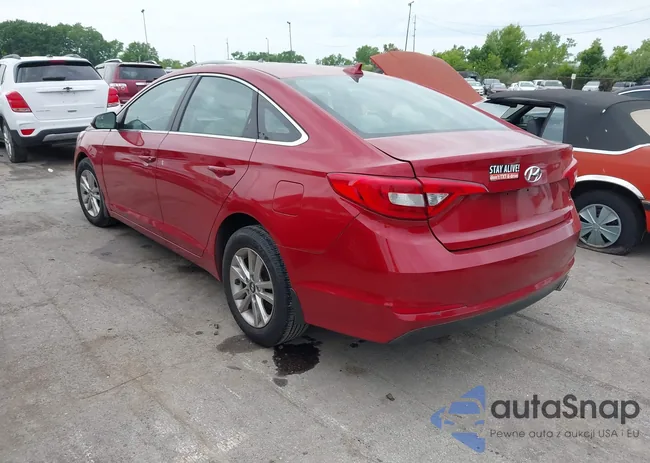 5NPE24AF1HH551840: 42371627