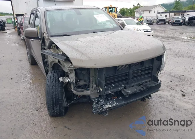 1GCGTDEN6H1210335: 42370746