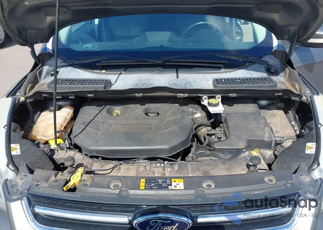 1FMCU0J9XDUC16155: 42373566