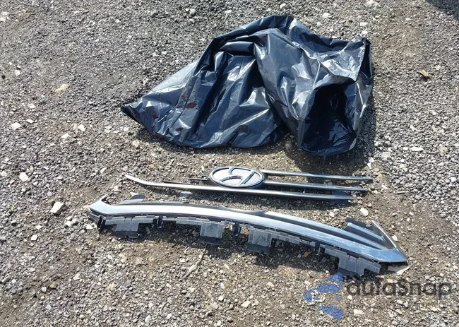 5NPE24AF4GH433425: 42374810