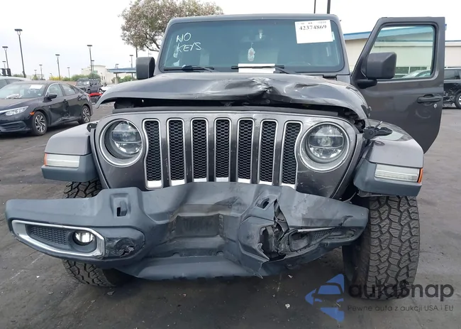 1C4HJXEG5LW119288: 42374869