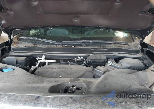 5FNYF8H52PB033173: 42376245