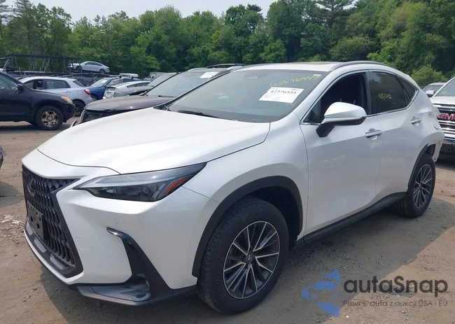 JTJGKCEZ2S5024692: 42376555