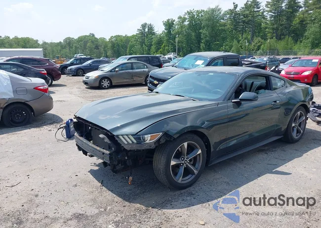 1FA6P8AM6G5263781: 42375721