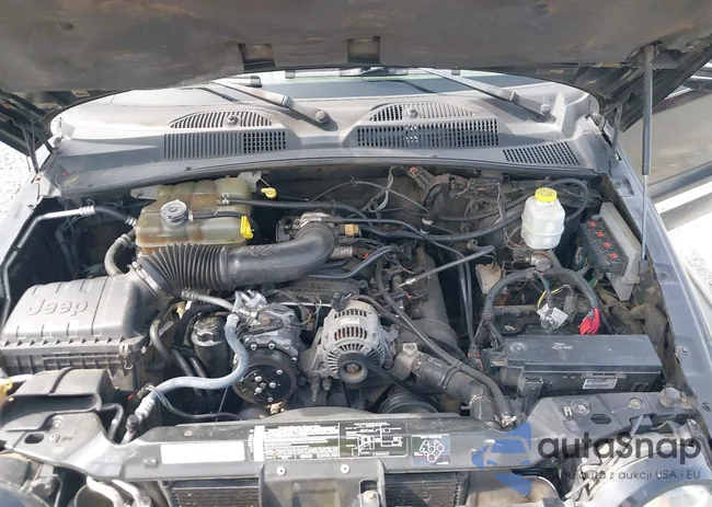 1J4GK58K45W686019: 42378265