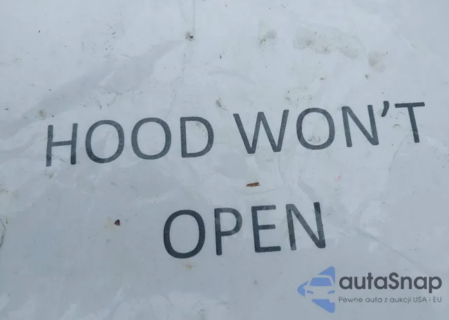 1G4GC5EG2AF200252: 42377790