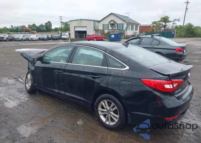 5NPE24AF5GH296494: 42377796