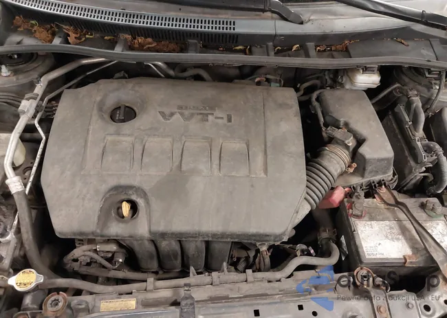 2T1BU4EE9DC047306: 42379155