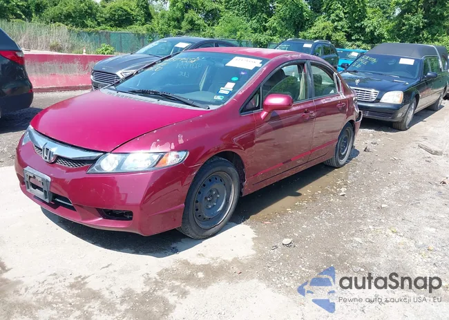 2HGFA16589H528668: 42379558