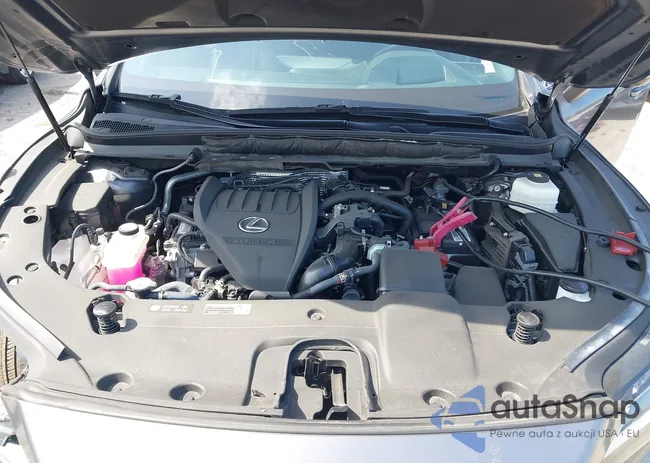 2T2BAMCA1PC002613: 42378763