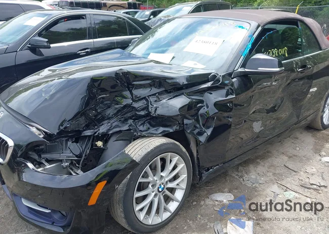 WBA1L9C58GV767841: 42380118