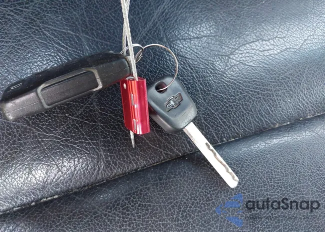 1GNSCGKCXGR151070: 42380150