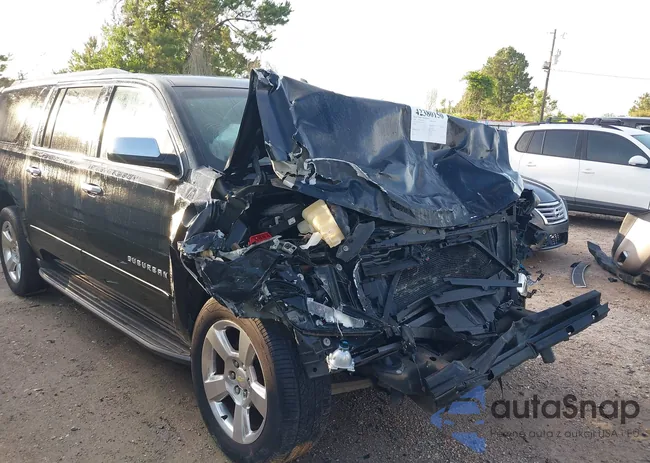 1GNSCGKCXGR151070: 42380150