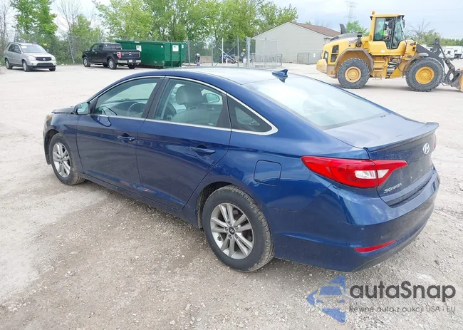 5NPE24AF1HH571635: 42381096