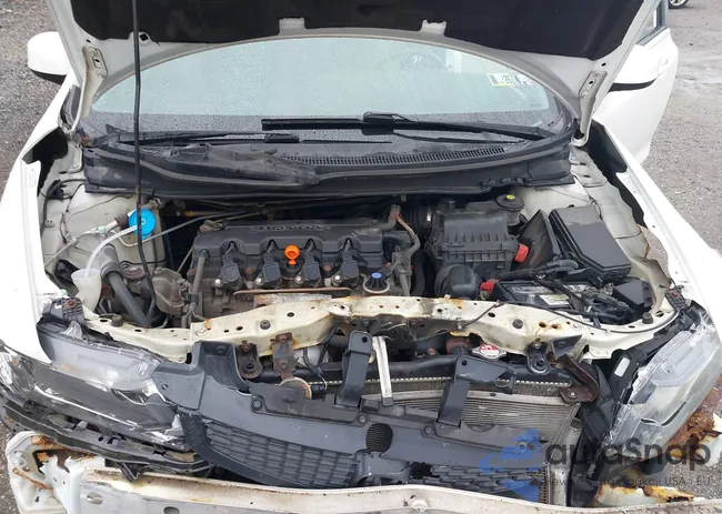 2HGFG3B58DH516433: 42381101