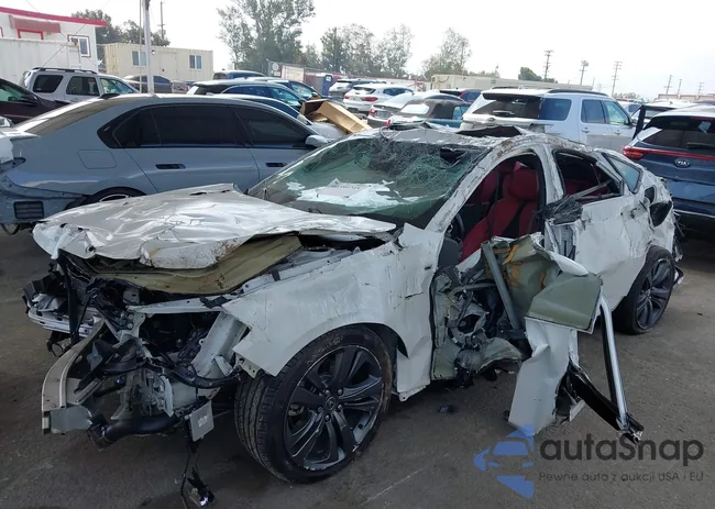 19UUB5F51MA017032: 42380745