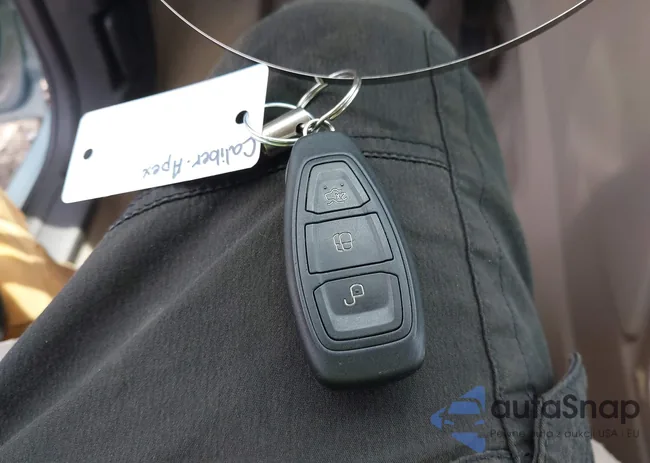 1FADP5BU0DL506948: 42381792