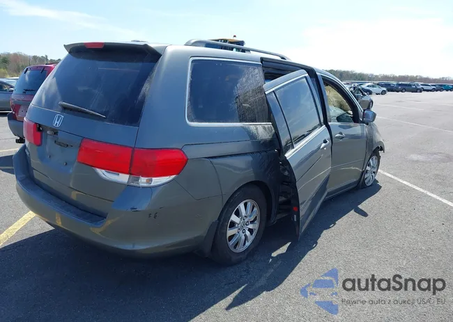 5FNRL38668B408931: 42383509