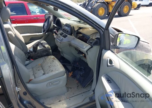 5FNRL38668B408931: 42383509