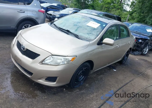 2T1BU4EEXAC498126: 42383977