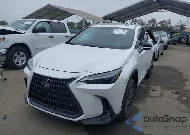 JTJGGCEZ6S2023225: 42385139