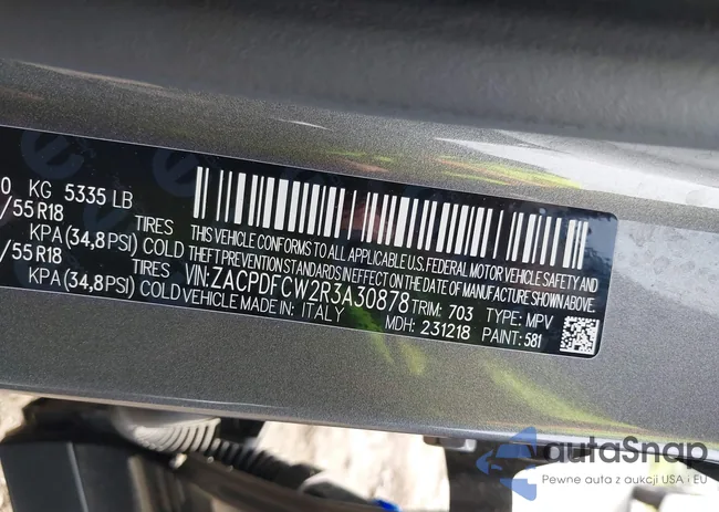 ZACPDFCW2R3A30878: 42384839