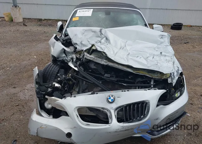 WBA1K9C55GV710399: 42384947