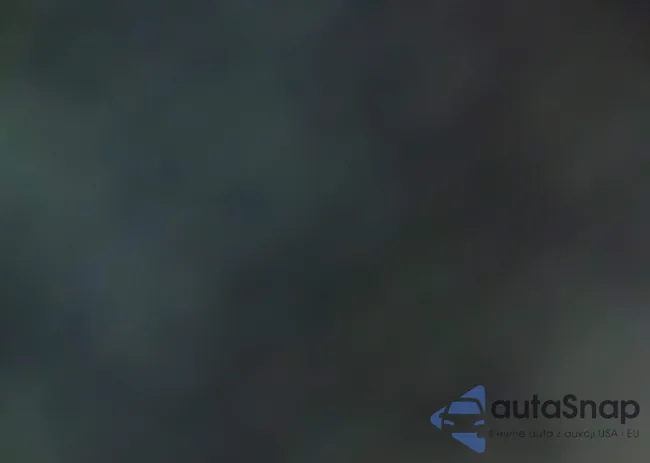 2C3HC56G4XH221154: 42387904