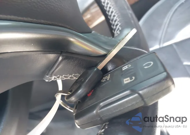 1GNSCGKCXLR238669: 42388187