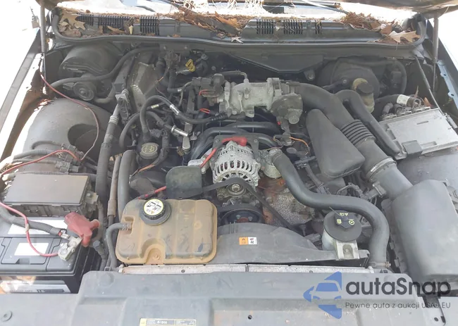 2MEFM74V88X603917: 42387573