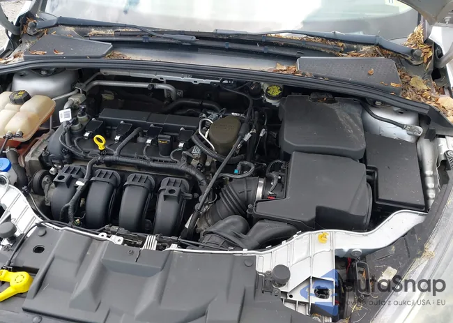 1FADP3K29GL210401: 42387858