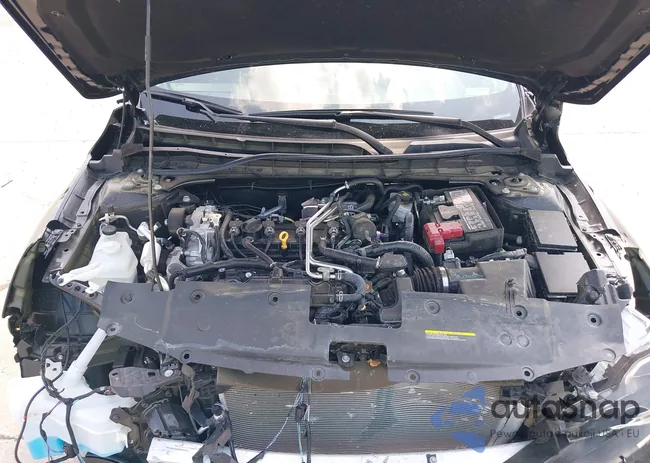 1N4BL4CV6RN386976: 42388923