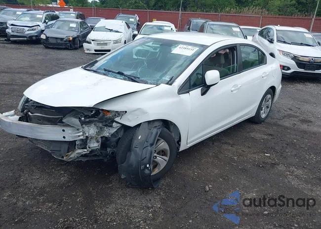 19XFB2F59DE288519: 42389231