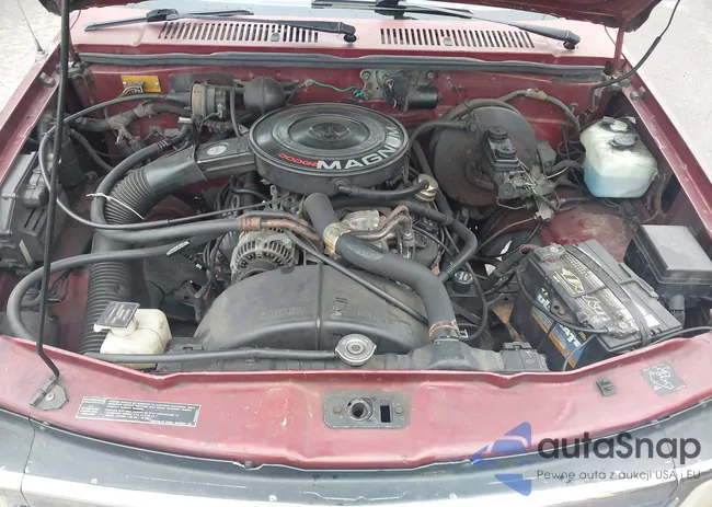 1B7FL23X9PS212576: 42389256