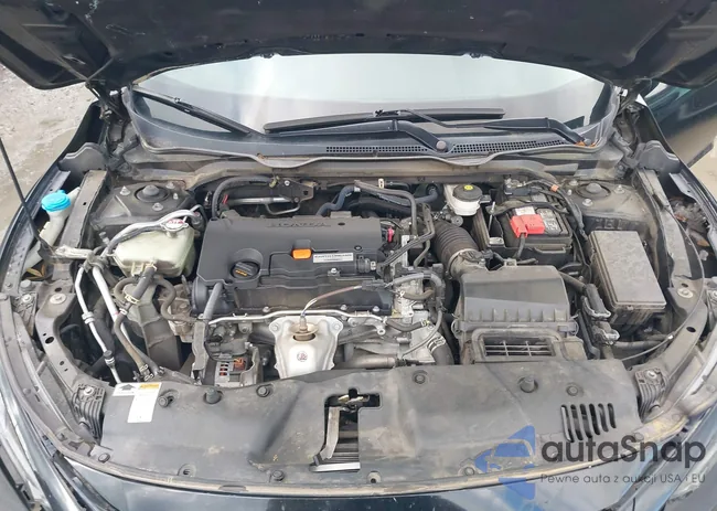 19XFC2F60KE206034: 42389283