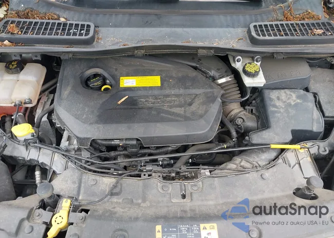 1FMCU9JX5GUB19582: 42388860