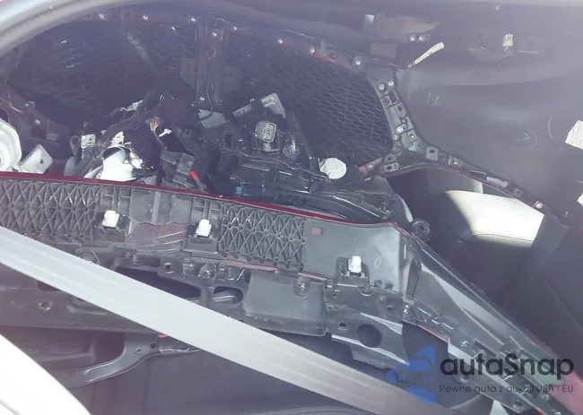 JM1BPAMM5K1115830: 42389923