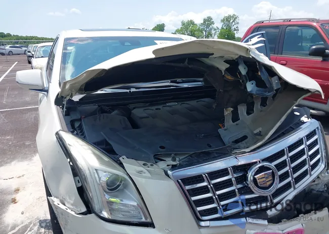 2G61S5S35D9137226: 42390101